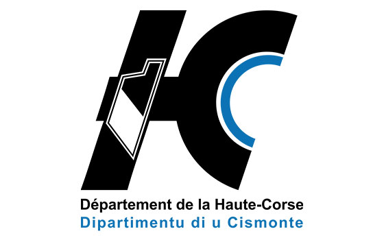 Destruction de nid de guêpes dans le departement Haute-Corse