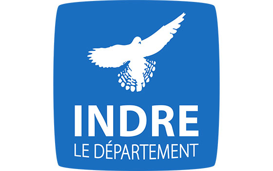 Destruction des nids de guêpes, frelons et frelons asiatiques – enlèvement de nids d’abeilles – INDRE