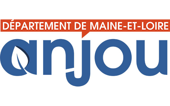 Destruction de nid de frelons dans le departement Maine-et-Loire