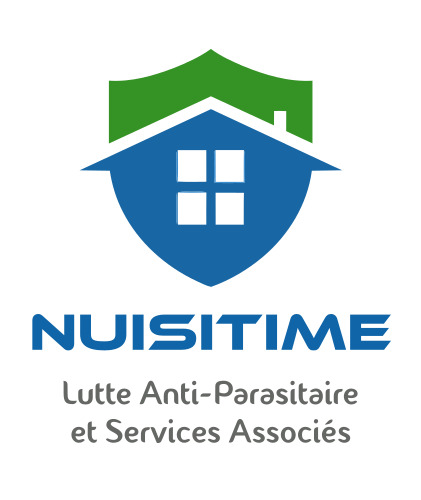 Destruction de nid de frelons dans le departement Seine-Saint-Denis Yassine