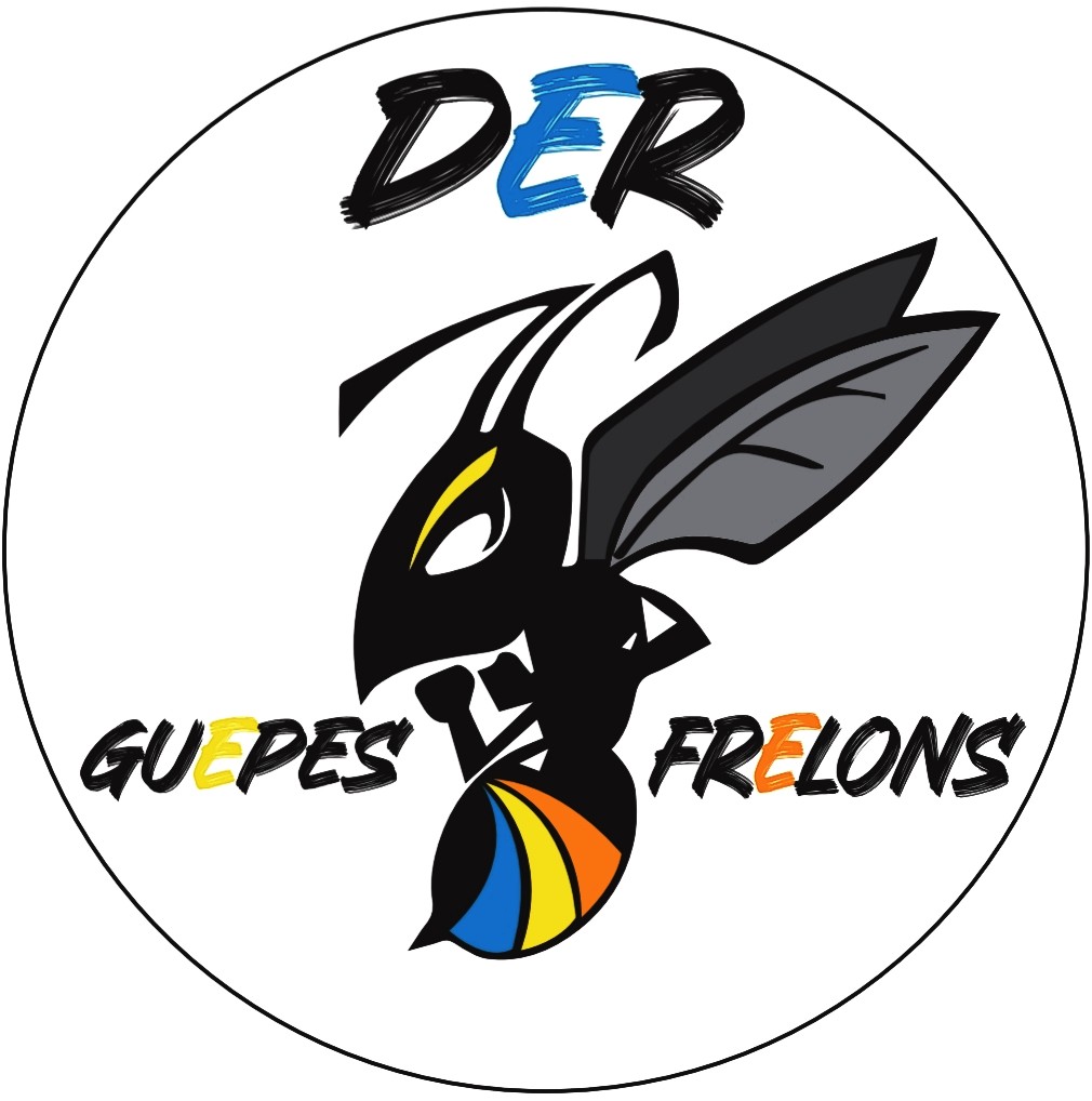 Destruction de nid de frelons dans le departement Marne Guillaume