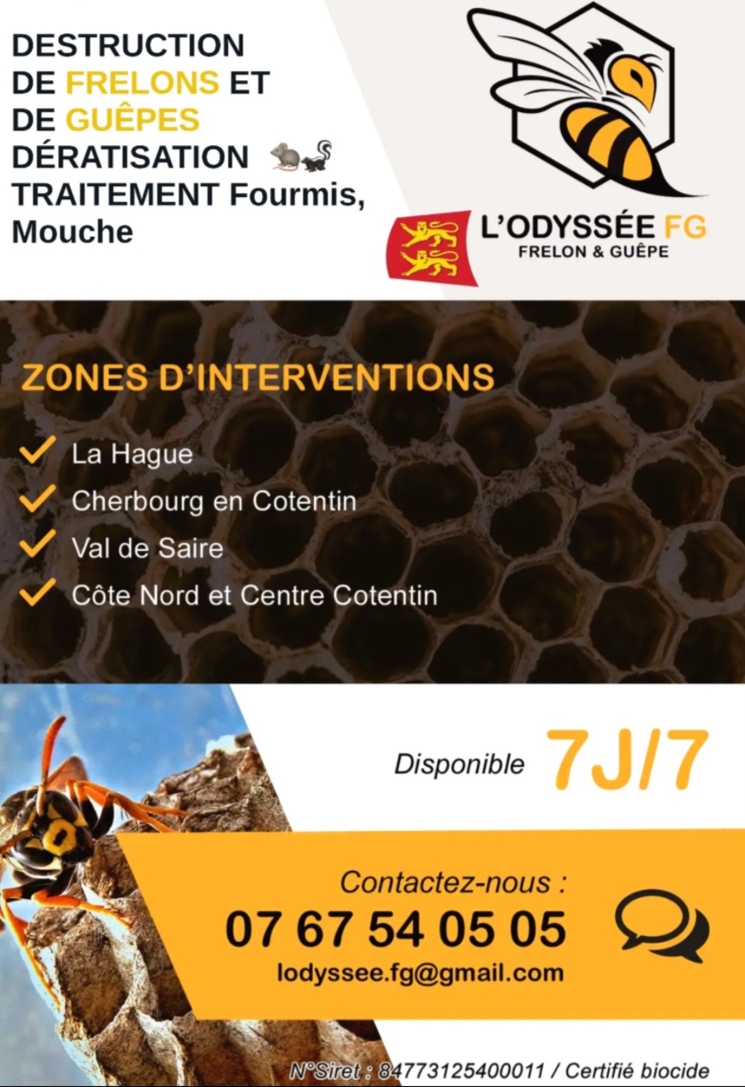 Destruction de nid de frelons dans le departement Manche Laurent