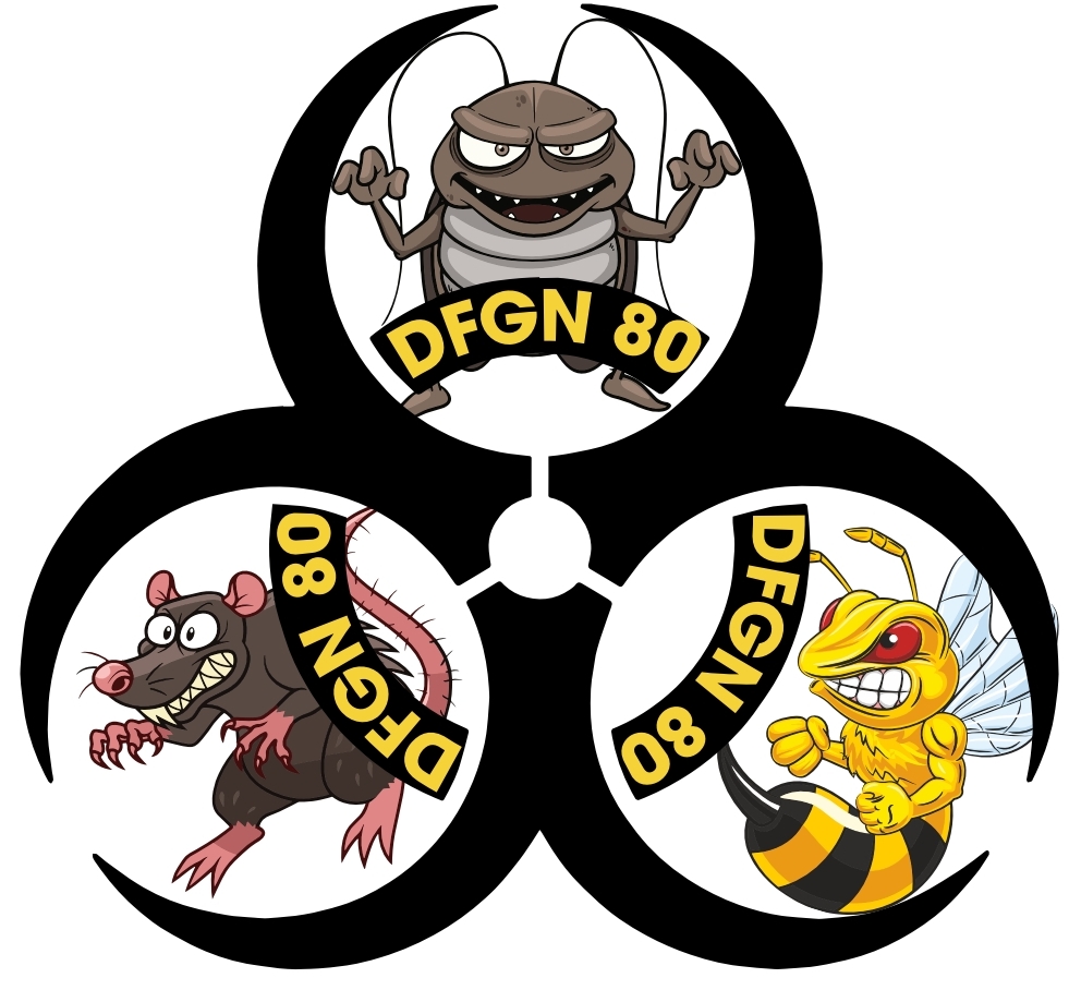 Destruction des nids de guêpes, frelons et frelons asiatiques – enlèvement de nids d’abeilles – SOMME Sébastien