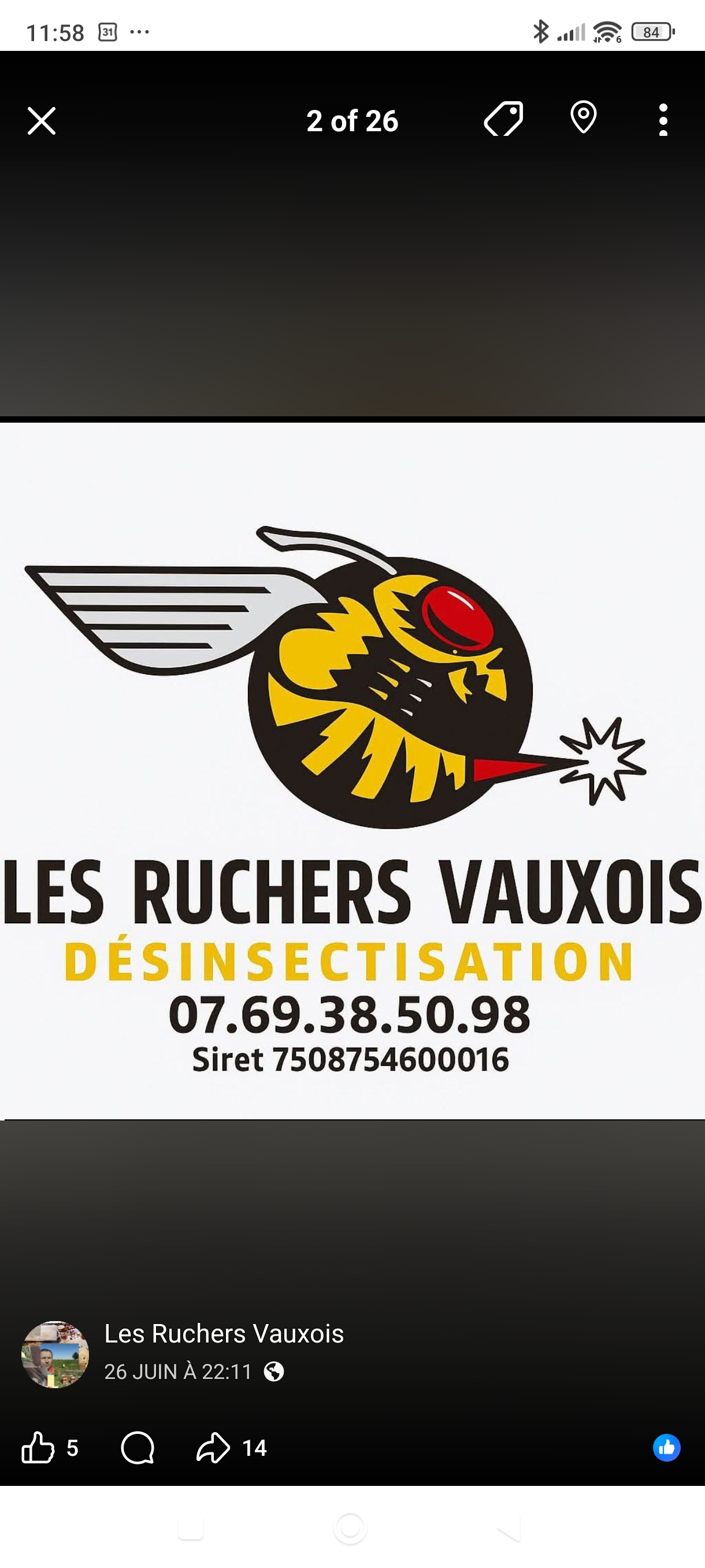 Destruction de nuisibles par Luc