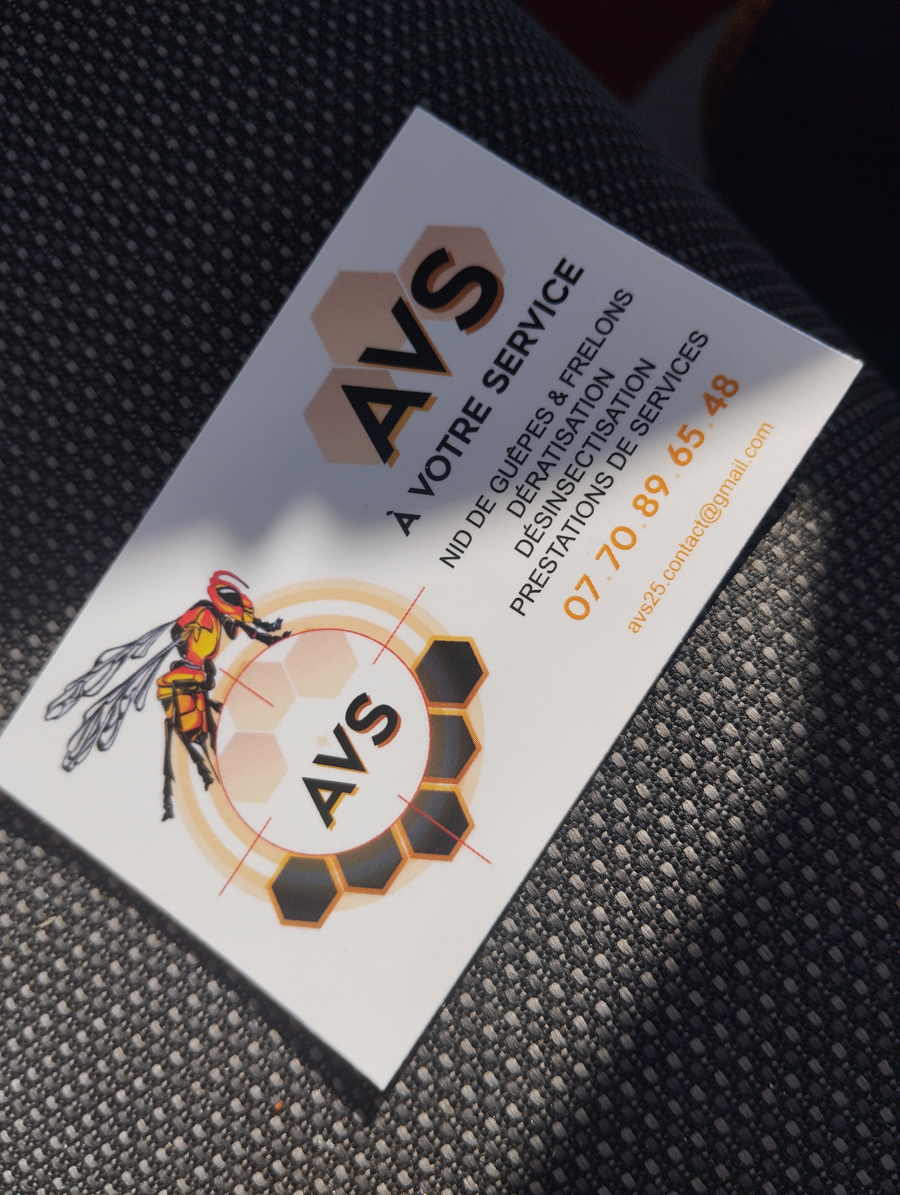 Destruction de nid de guêpes par Jérémy