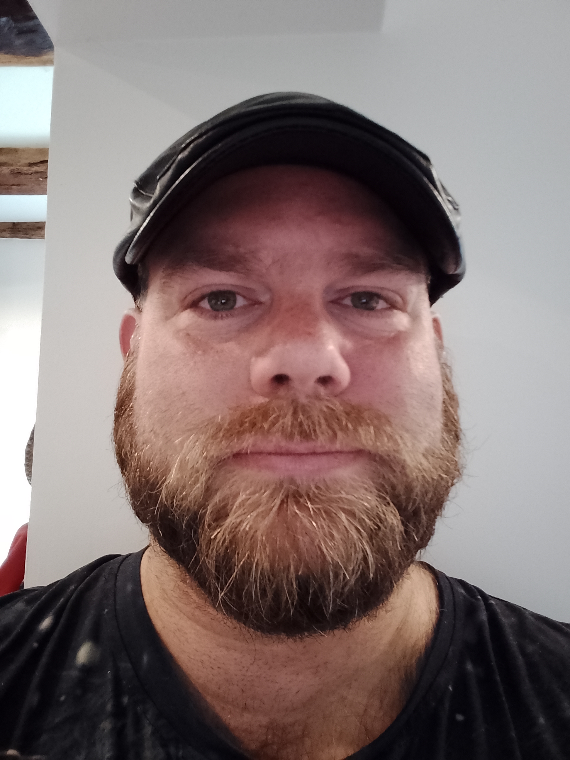 Destruction de nid de guêpes par Gaëtan