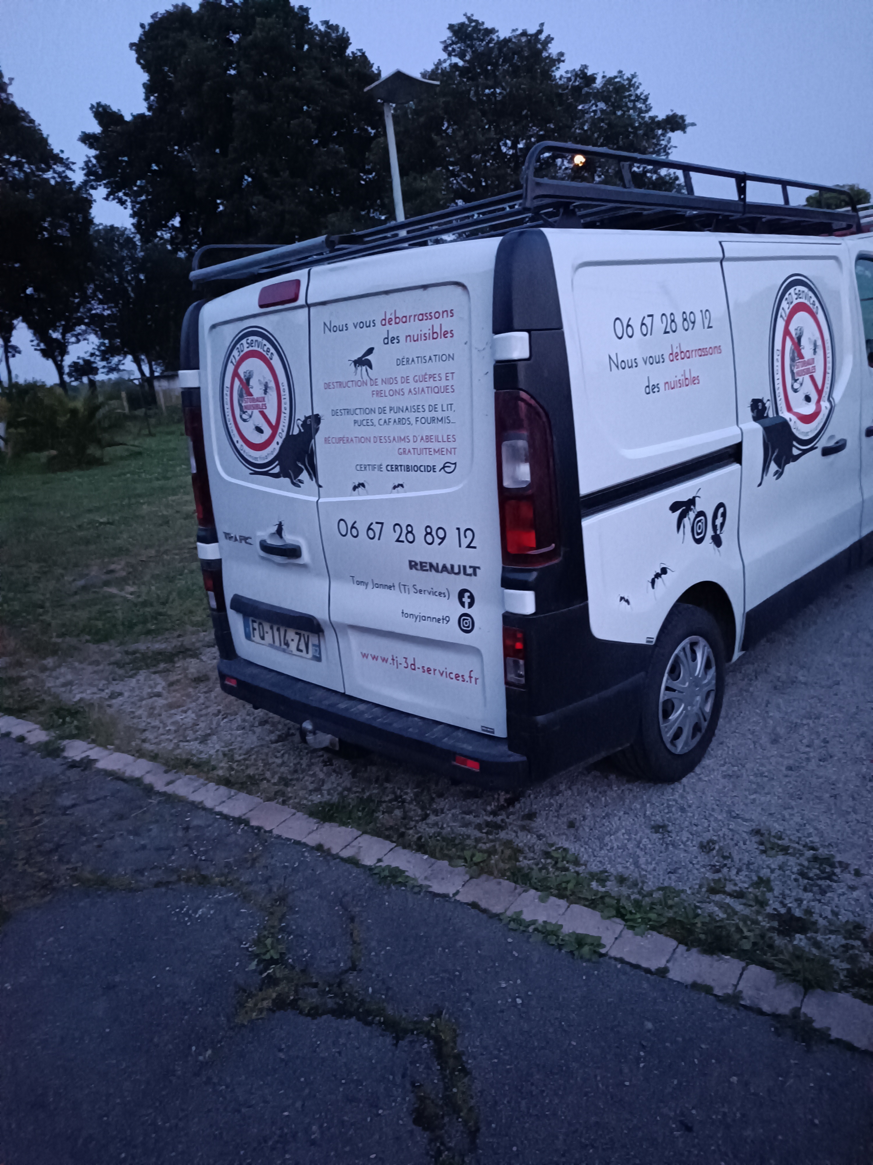 Destruction de nid de guêpes par Tony