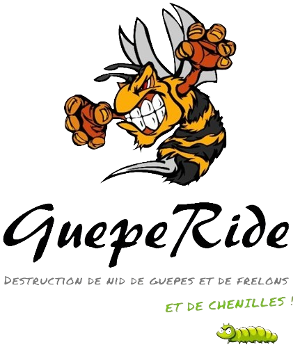 destruction de nid de guêpes à Torcy 77200 | Seine-et-Marne Vincent
